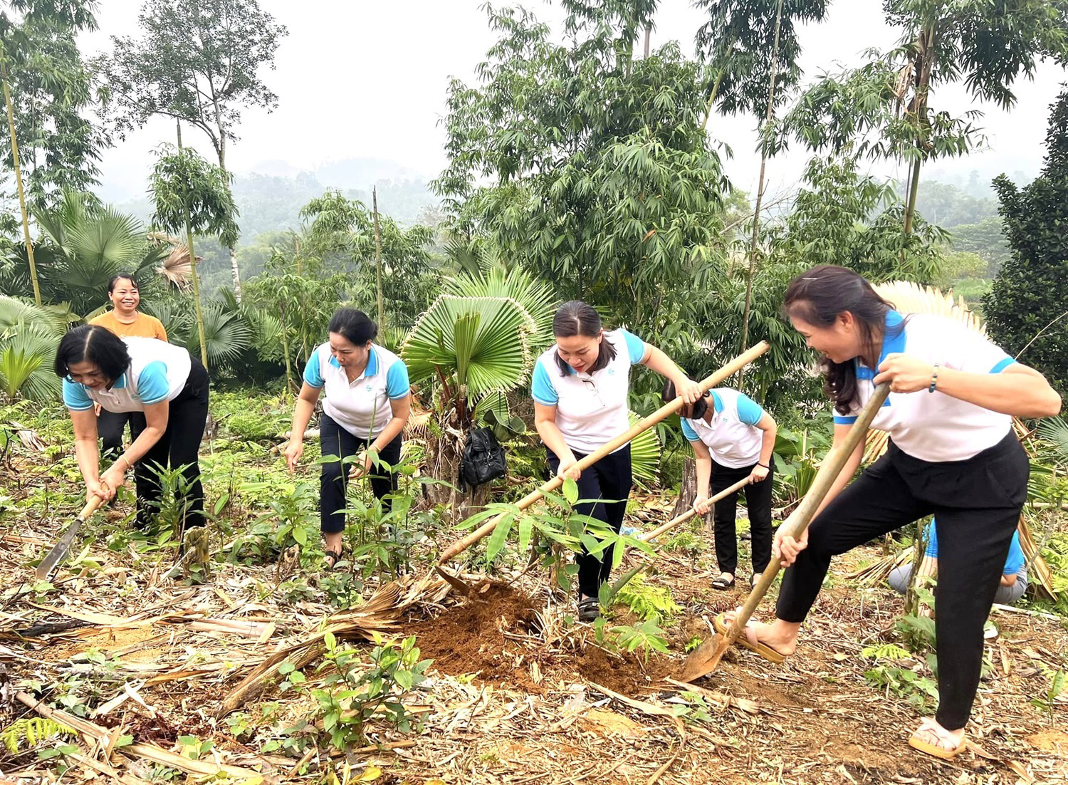 Trao cơ hội nâng cao vị thế của phụ nữ dân tộc thiểu số vùng cao Hà Giang